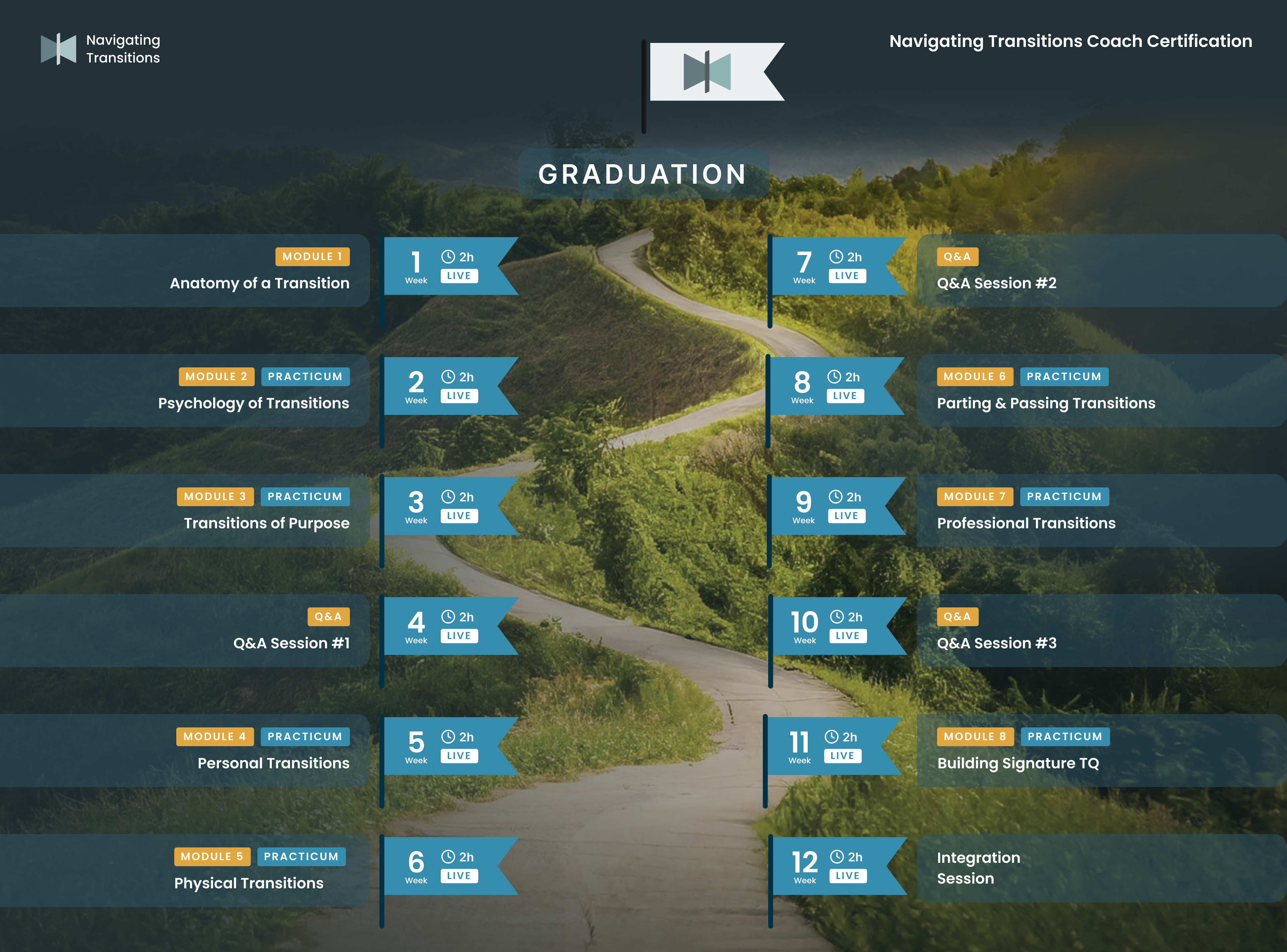 Coaching.com -  programs transitional sales journey?v2